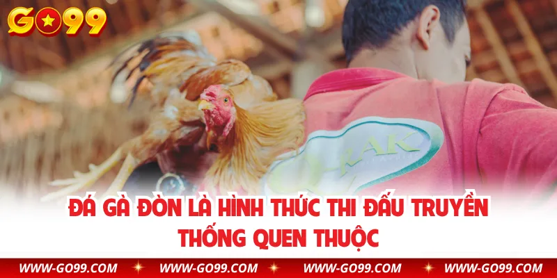 Đá gà đòn là hình thức thi đấu truyền thống quen thuộc