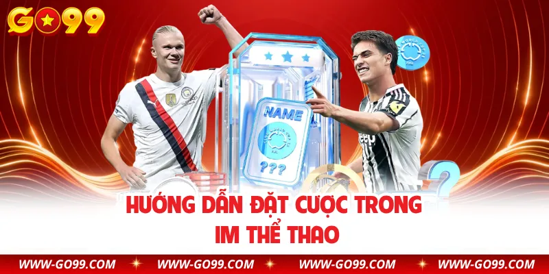 Hướng dẫn đặt cược trong IM thể thao